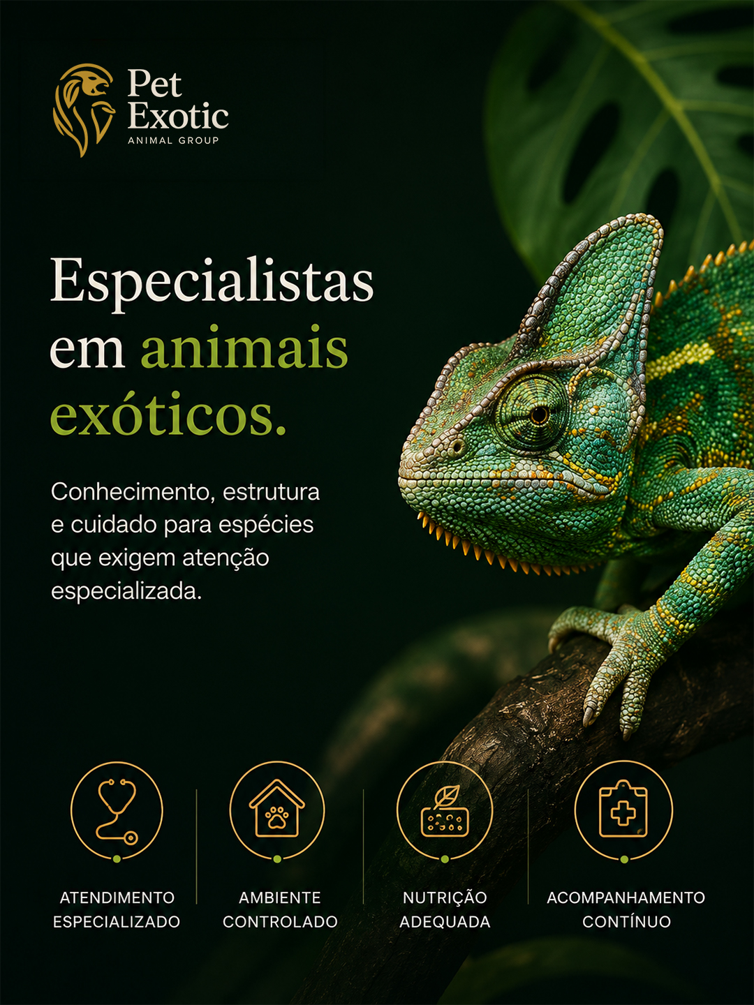 Peça da Pet Exotic com camaleão e linguagem visual especializada